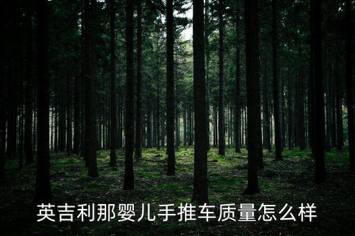 英吉利那嬰兒手推車質量怎么樣