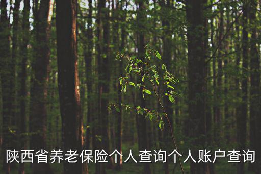 陜西省養老保險個人查詢個人賬戶查詢