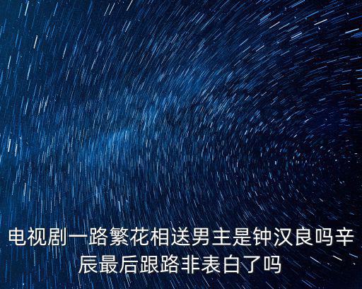 電視劇一路繁花相送男主是鐘漢良嗎辛辰最后跟路非表白了嗎