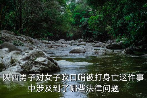 陜西男子對女子吹口哨被打身亡這件事中涉及到了哪些法律問題