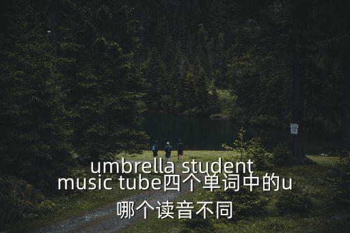 umbrella student music tube四個單詞中的u哪個讀音不同