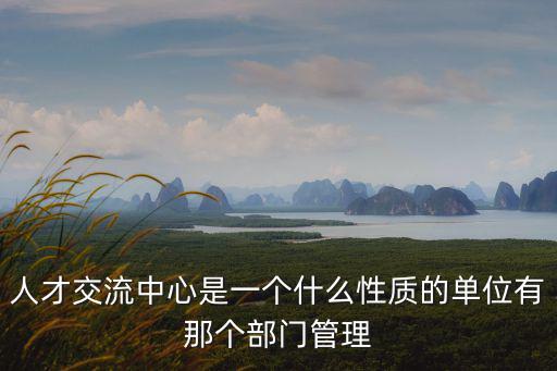 人才服務中心，人才交流中心是一個什么性質的單位有那個部門管理