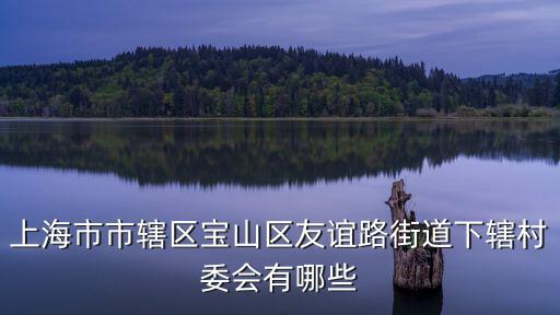 華能城市花園，上海寶山區牡丹江路1298弄怎么去上海虹橋站