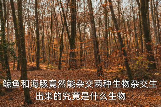 鯨魚和海豚竟然能雜交兩種生物雜交生出來的究竟是什么生物