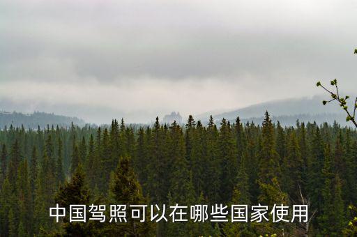 中國駕照可以在哪些國家使用