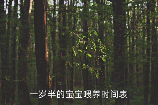 一歲半的寶寶喂養時間表
