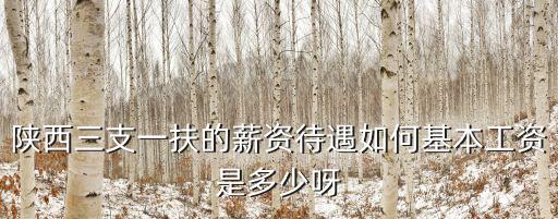 陜西三支一扶的薪資待遇如何基本工資是多少呀