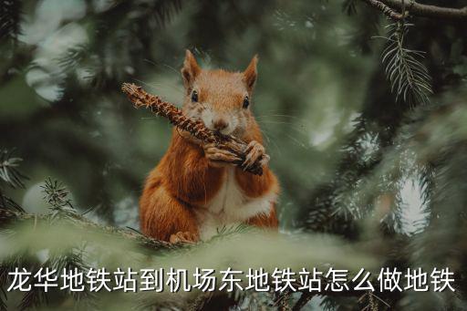 龍華地鐵站到機場東地鐵站怎么做地鐵