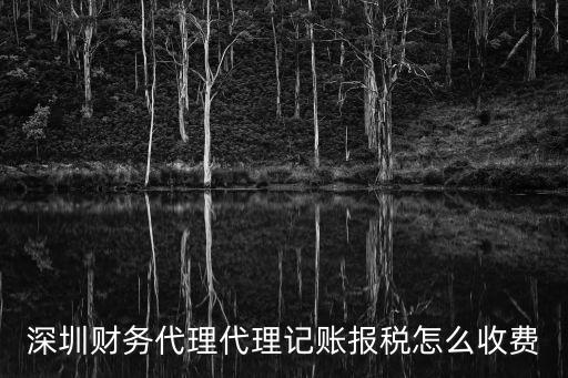 深圳財務代理代理記賬報稅怎么收費