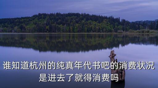 純真年代書吧，誰知道杭州的純真年代書吧的消費狀況是進去了就得消費嗎