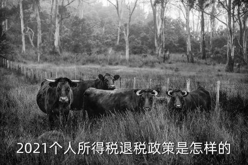 2021個人所得稅退稅政策是怎樣的