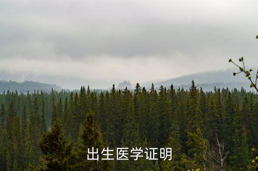 出生醫學證明，出生醫學證明怎么查詢
