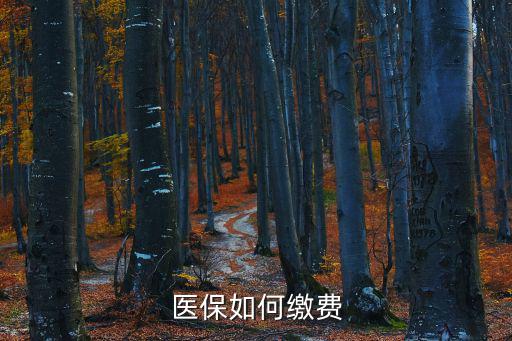醫(yī)療保險繳費，醫(yī)保繳費怎么交