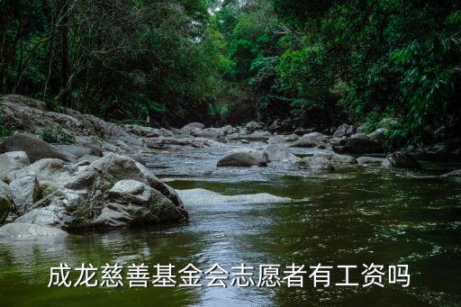 成龍慈善基金會志愿者有工資嗎
