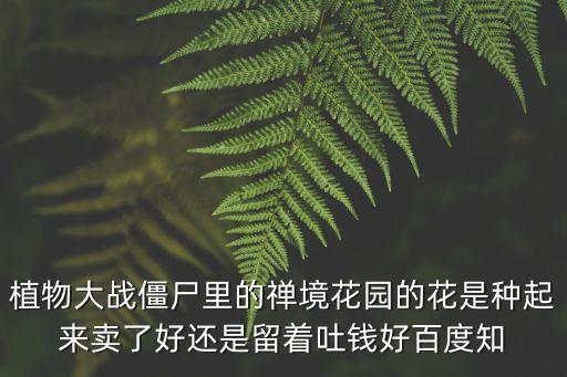 禪境花園，植物大戰僵尸1禪境花園怎么擁有
