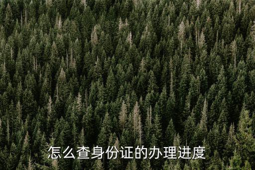 怎么查身份證的辦理進度