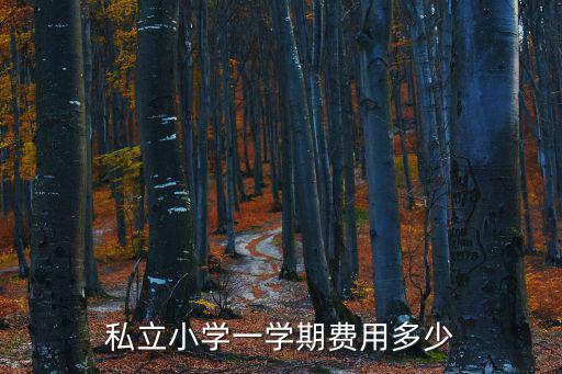私立學(xué)校學(xué)費，私立學(xué)校學(xué)費多少是不是很貴