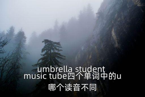 tubu4，tube6中文版能看嗎能看是網(wǎng)頁第幾個