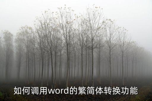 簡繁互換，如何調用word的繁簡體轉換功能