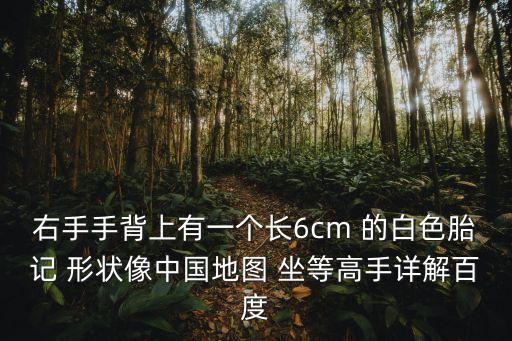 右手手背上有一個長6cm 的白色胎記 形狀像中國地圖 坐等高手詳解百度
