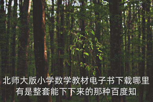 北師大版小學數學教材電子書下載哪里有是整套能下下來的那種百度知
