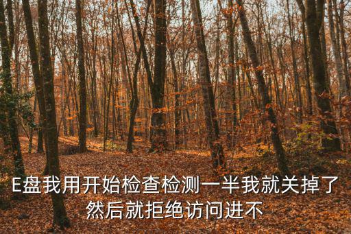 E盤我用開(kāi)始檢查檢測(cè)一半我就關(guān)掉了然后就拒絕訪問(wèn)進(jìn)不