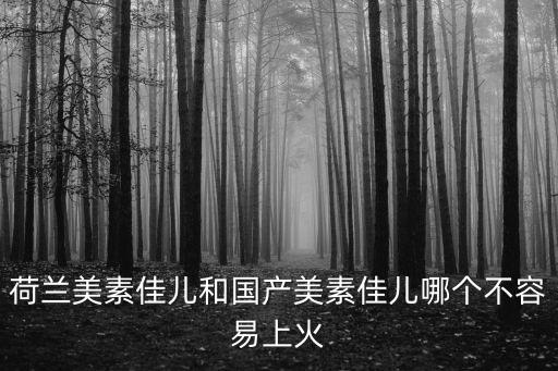 荷蘭美素佳兒和國產(chǎn)美素佳兒哪個(gè)不容易上火