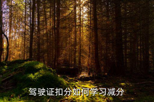 駕駛證扣分如何學(xué)習(xí)減分
