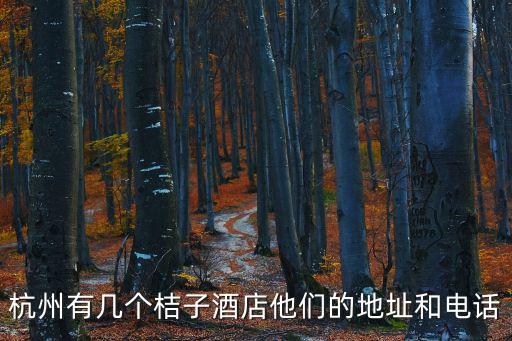 杭州桔子酒店，杭州有幾個桔子酒店他們的地址和電話