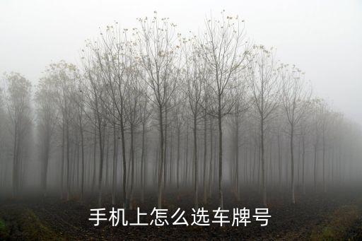手機上怎么選車牌號