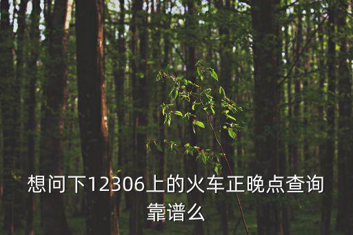 想問下12306上的火車正晚點查詢靠譜么