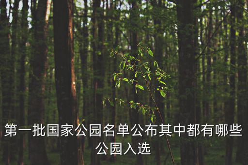 國(guó)家公園有哪些，第一批國(guó)家公園名單公布其中都有哪些公園入選