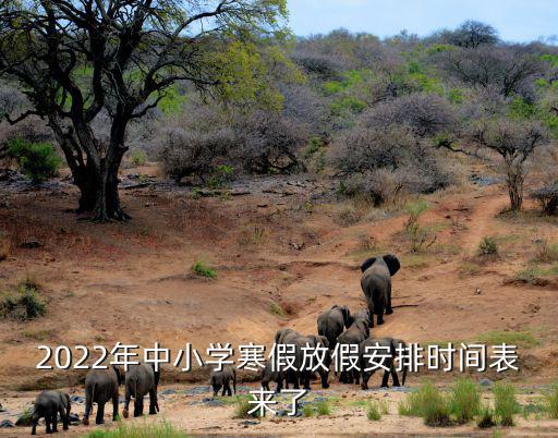 2022年中小學寒假放假安排時間表來了