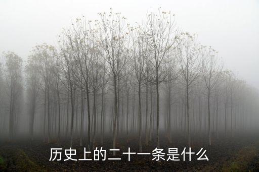 歷史上的二十一條是什么