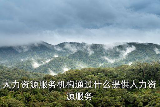人力資源服務機構通過什么提供人力資源服務