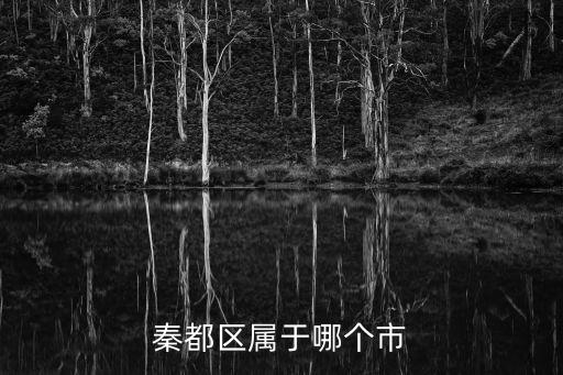 秦都，秦都區屬于哪個市