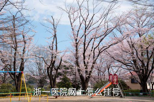 浙一醫(yī)院網(wǎng)上怎么掛號