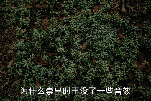 崇皇，為什么崇皇時王沒了一些音效