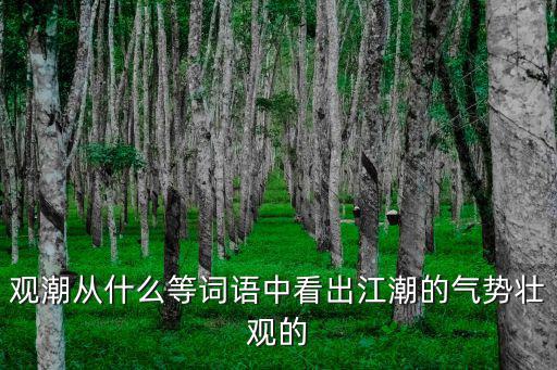 觀潮從什么等詞語中看出江潮的氣勢(shì)壯觀的