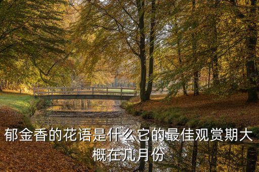 郁金香的花語是什么它的最佳觀賞期大概在幾月份