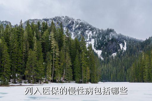 列入醫保的慢性病包括哪些