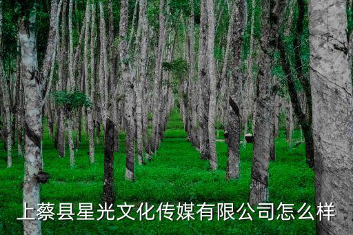 星光文化，上蔡縣星光文化傳媒有限公司怎么樣