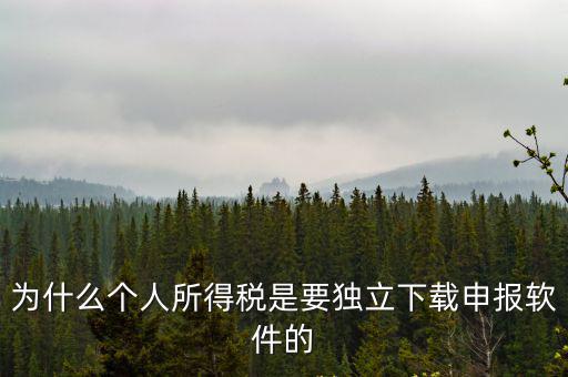 個人所得稅下載app，申報個稅軟件