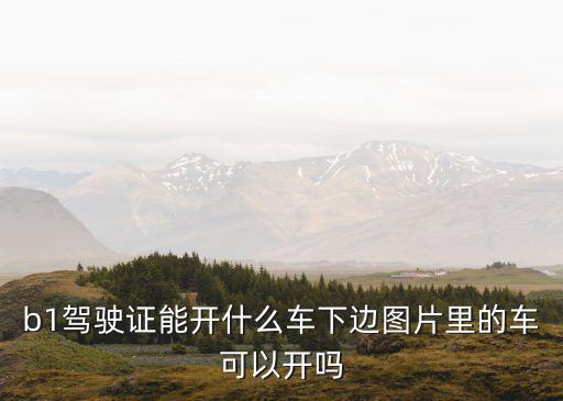 b1駕駛證能開什么車下邊圖片里的車可以開嗎
