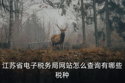 江蘇省電子稅務局網站怎么查詢有哪些稅種