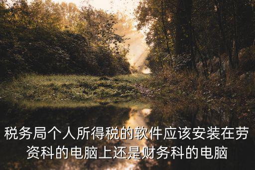 個人所得稅app安裝，你好請問個人所得稅軟件安裝后還要重新填寫資料嗎 非常感謝