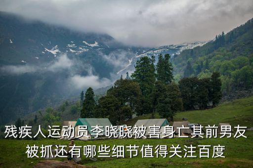 殘疾人運動員，退役殘疾人運動員賣農產品年銷200萬他在此之前還有過哪些經歷百度