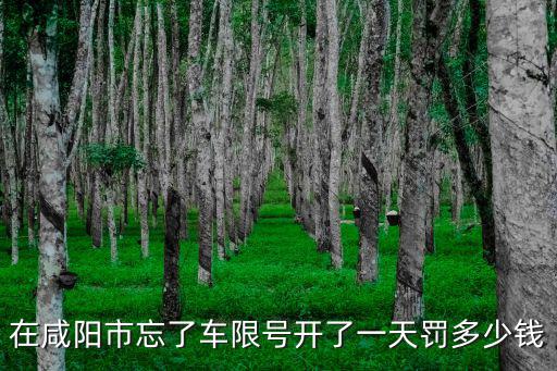 在咸陽市忘了車限號開了一天罰多少錢