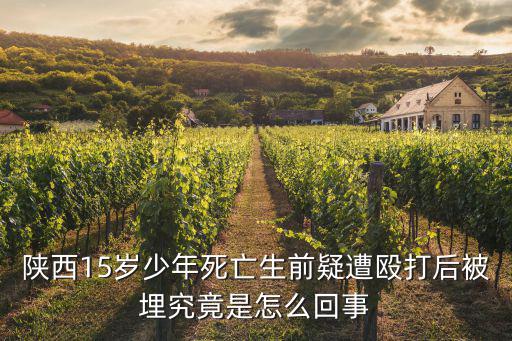 陜西15歲少年死亡生前疑遭毆打后被埋究竟是怎么回事