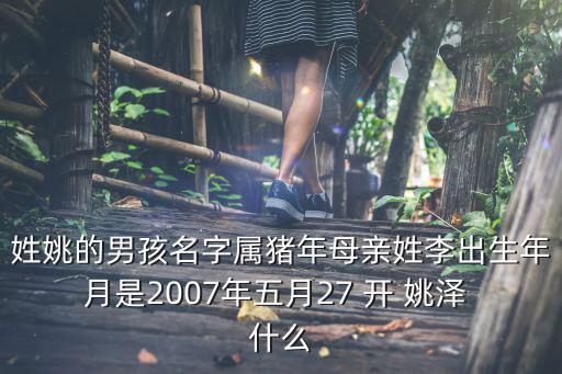 姓姚的男孩名字屬豬年母親姓李出生年月是2007年五月27 開 姚澤 什么